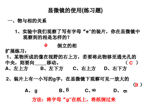 显微镜使用练习题