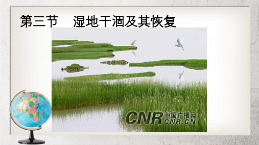 人教版高中地理选修六4.3《湿地干涸及其恢复》ppt课件