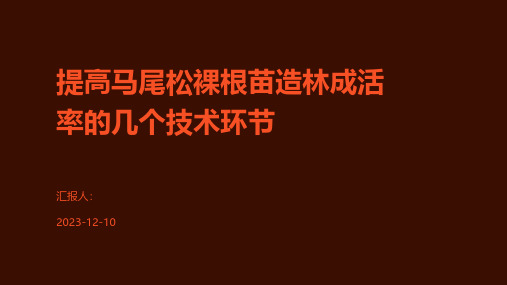 提高马尾松裸根苗造林成活率的几个技术环节