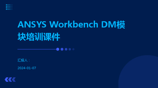 ANSYS Workbench DM模块培训课件