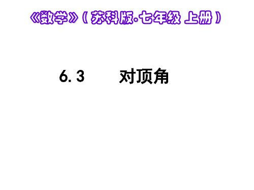 6.3 余角、补角、对顶角(2)