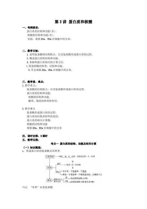 (高三生物核心素养教案) 蛋白质和核酸