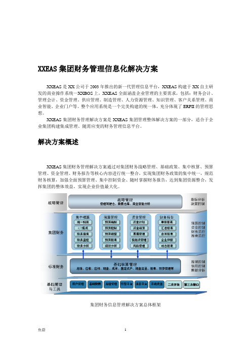 XXEAS集团财务管理信息化解决方案(DOC 8)