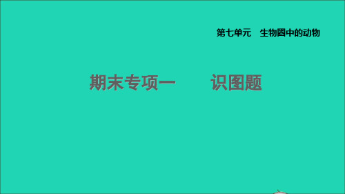 2022秋八年级生物上册 期末专项一 识图题课件 鲁科版五四制