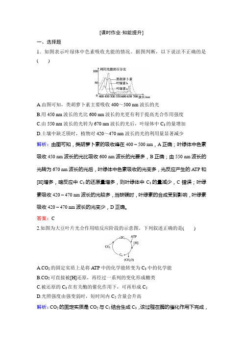 2020新课标高考第一轮总复习  生物  第3单元 细胞的能量供应和利用课时作业3-3