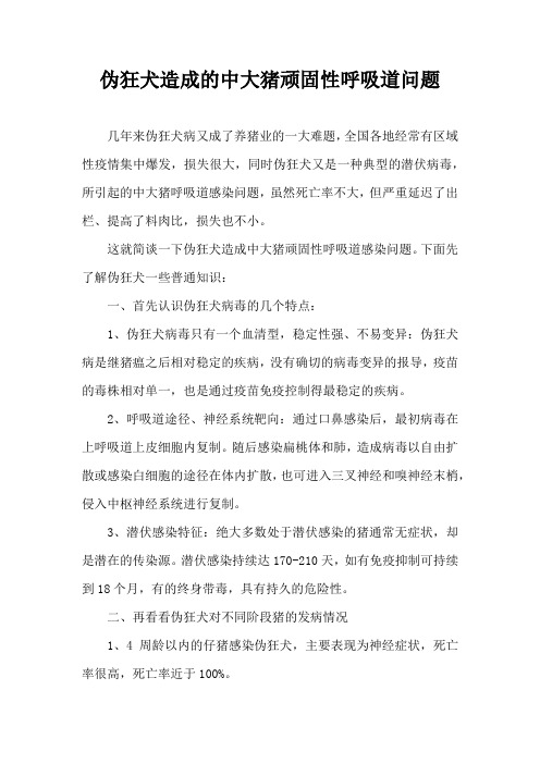 伪狂犬造成中大猪顽固性呼吸道问题
