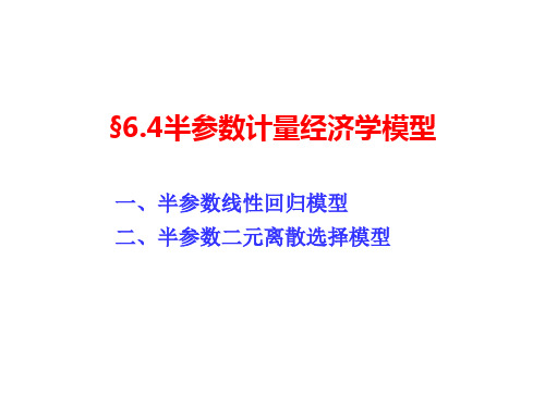 6.4 半参数模型解析