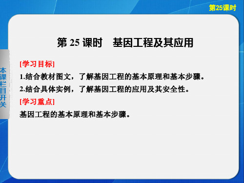 高中 人教版 必修二 基因工程及其应用 课件 (27张)