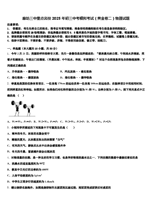 廊坊三中重点名校2025年初三中考模拟考试(黄金卷二)物理试题含解析