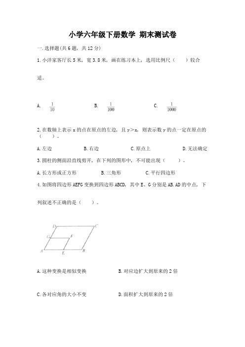 小学六年级下册数学-期末测试卷附答案【综合卷】