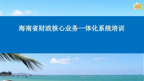 海南财政核心一体化管理系统汇报20190807