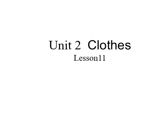 清华大学版小学英语Unit2ClothesLesson11课件