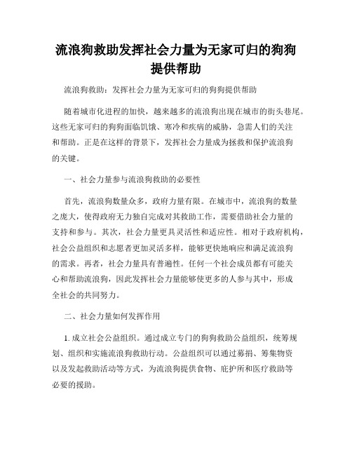 流浪狗救助发挥社会力量为无家可归的狗狗提供帮助