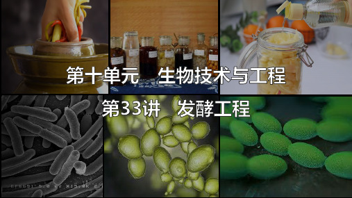 1.3 发酵工程及其应用(教学课件)-高二下学期生物人教版(2019)选择性必修3 