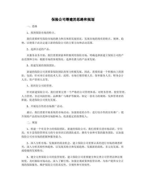 保险公司筹建的思路和规划