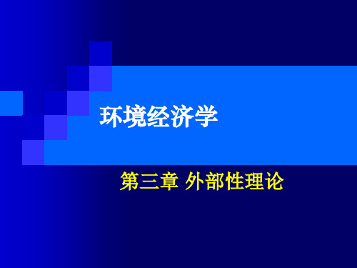 环境经济学 外部性理论