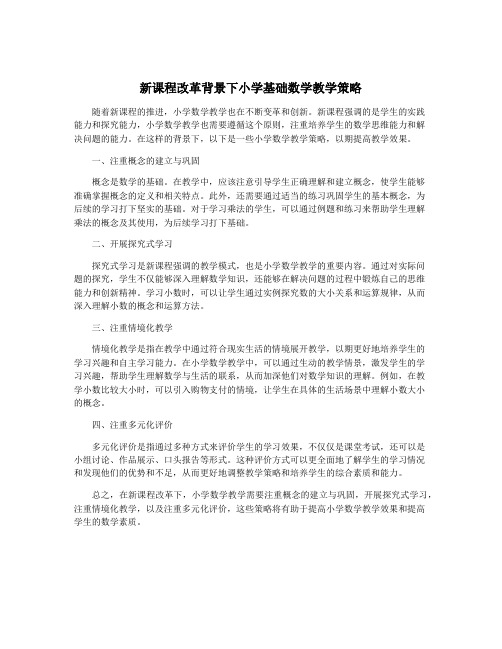 新课程改革背景下小学基础数学教学策略