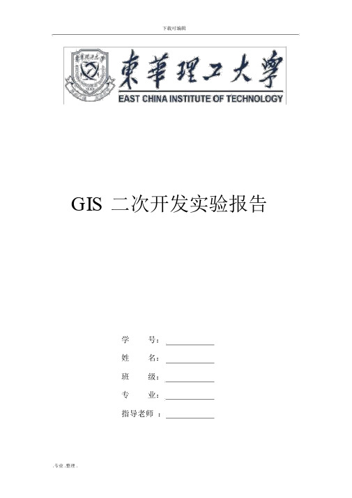 GIS二次开发实验报告