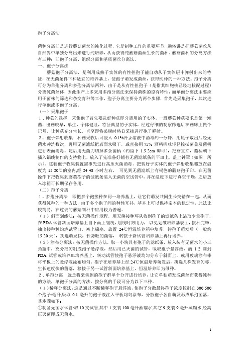 食用菌生产技术 孢子分离法