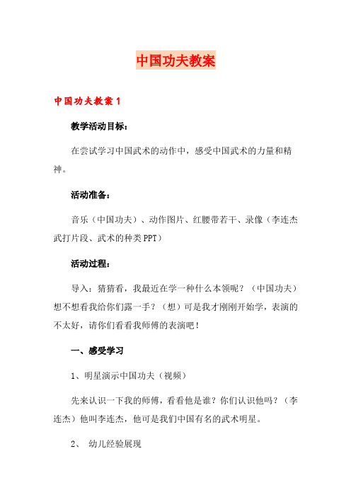 中国功夫教案