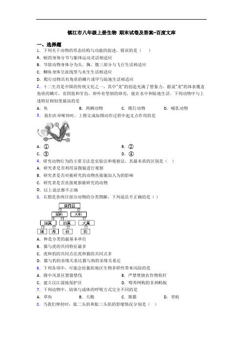 镇江市八年级上册生物 期末试卷及答案-百度文库