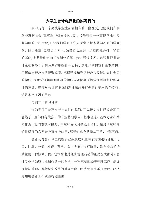 大学生会计电算化的实习目的