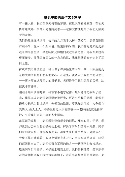 成长中的关爱作文800字