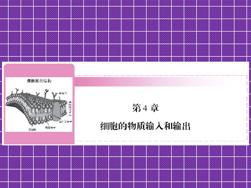 2012高考生物一轮复习(人教版)精品课件1-4-1