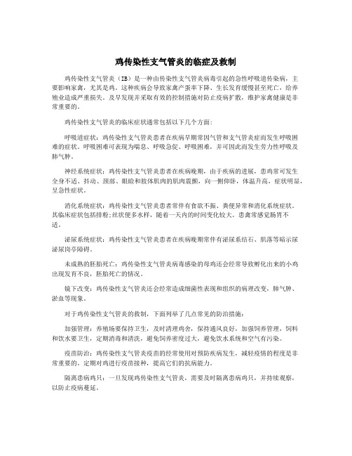 鸡传染性支气管炎的临症及救制