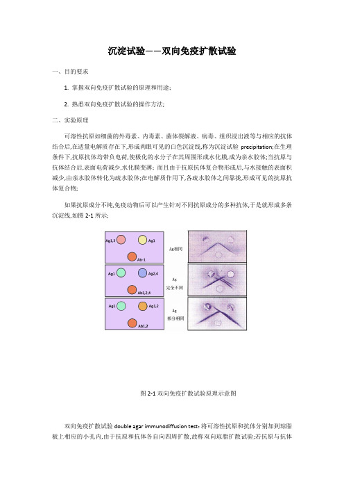 沉淀试验双向免疫扩散