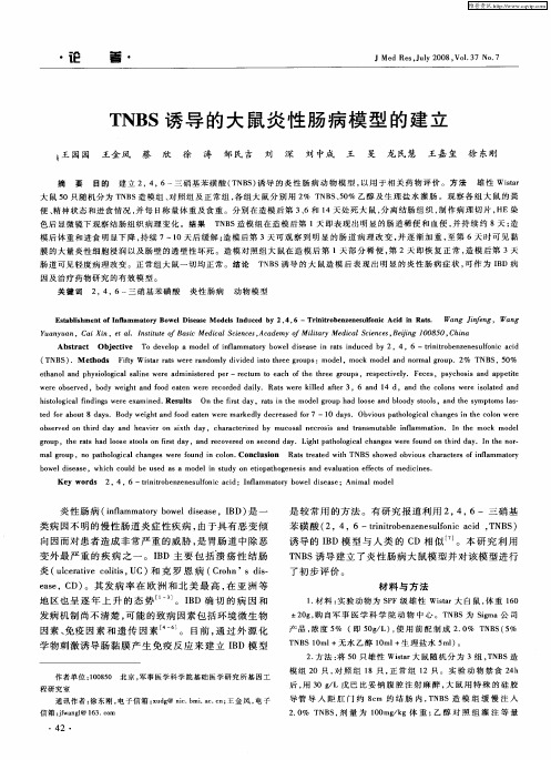 TNBS诱导的大鼠炎性肠病模型的建立