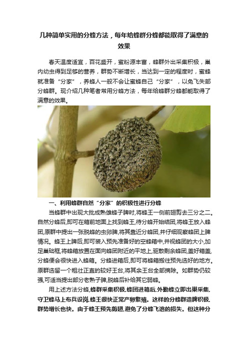 几种简单实用的分蜂方法，每年给蜂群分蜂都能取得了满意的效果