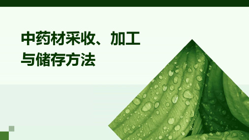 中药材采收、加工与储存方法