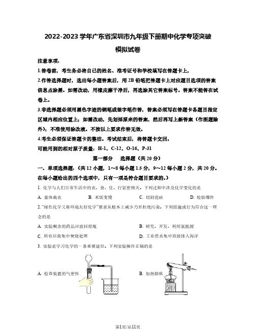 2022-2023学年广东省深圳市九年级下册期中化学专项突破模拟试卷(含解析)