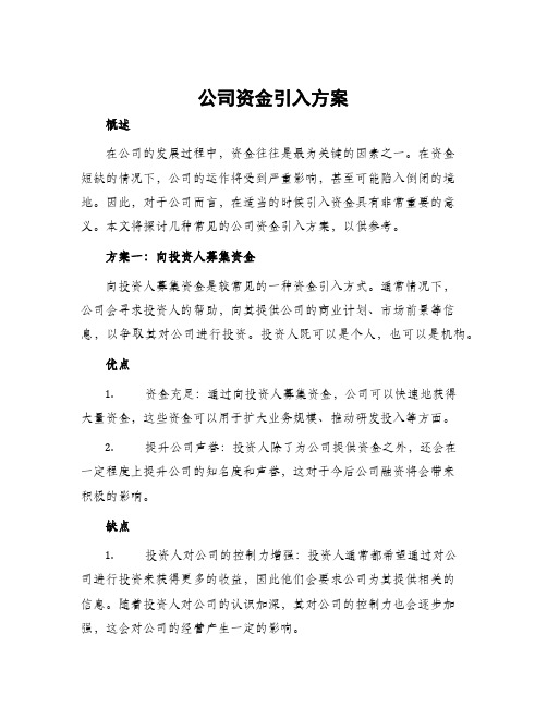 公司资金引入方案