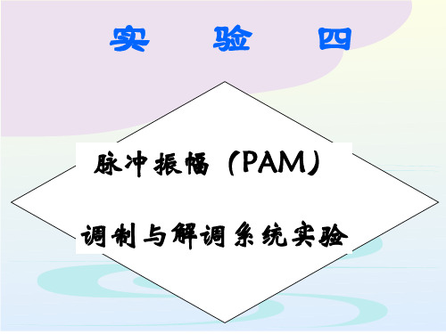 PAM实验4