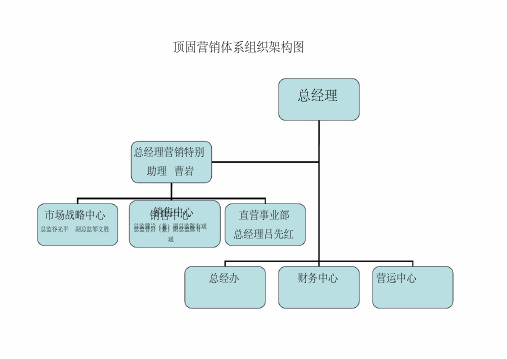 顶固营销体系组织架构图