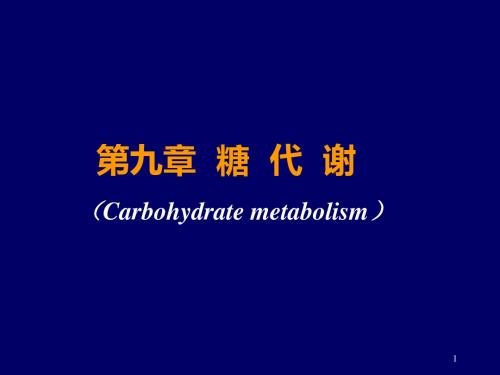 九章糖代谢Carbohydratemetabolism-PPT精品