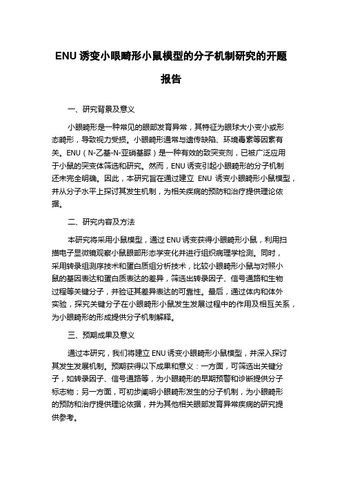 ENU诱变小眼畸形小鼠模型的分子机制研究的开题报告