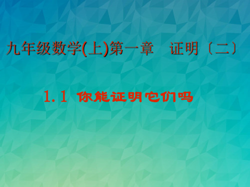 《你能证明它们吗》课件 2022年北师大版九上PPT