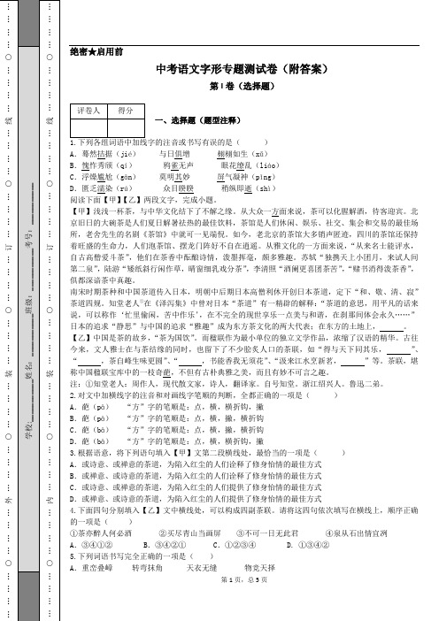 中考语文字形专题测试卷(附答案)