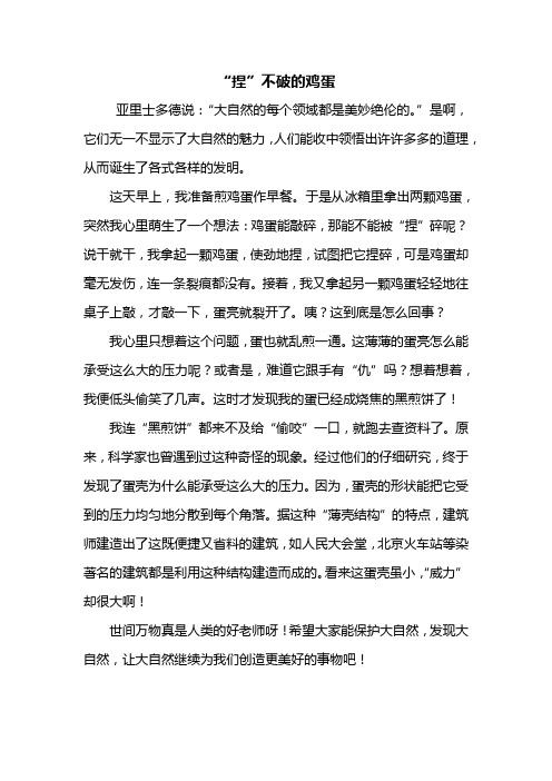 五年级作文：捏不破的鸡蛋作文500字