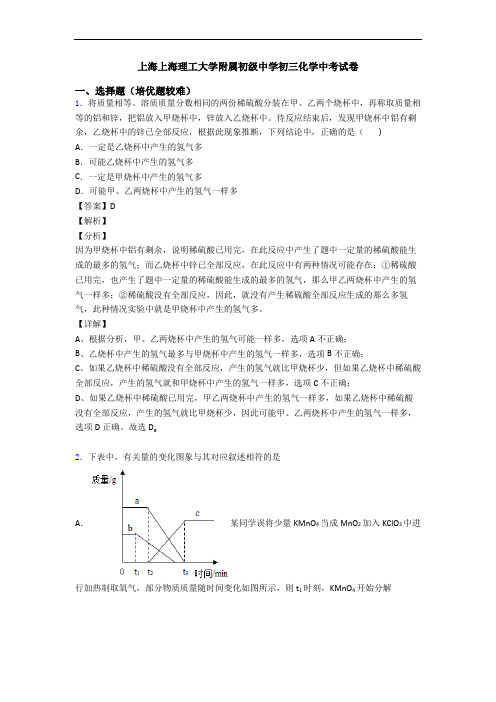 上海上海理工大学附属初级中学初三化学中考试卷