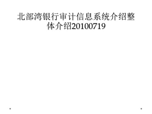 北部湾银行审计信息系统介绍整体介绍20100719