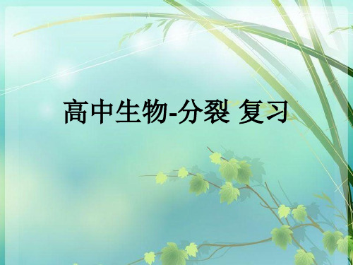 高中生物-有丝分裂和减数分裂 复习 PPT课件 图文