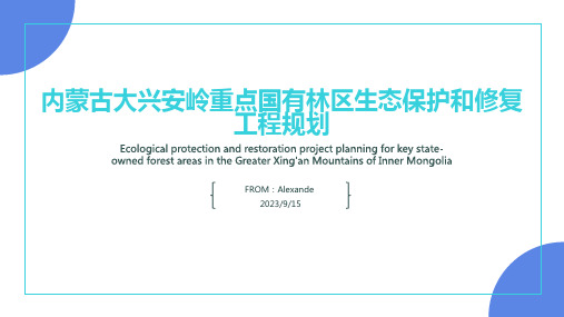 2023年内蒙古自治区大兴安岭森林带生态保护和修复工程发展主要指标报告模板