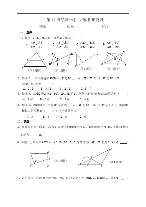 北师大版八下第11周每周一练  相似图形复习