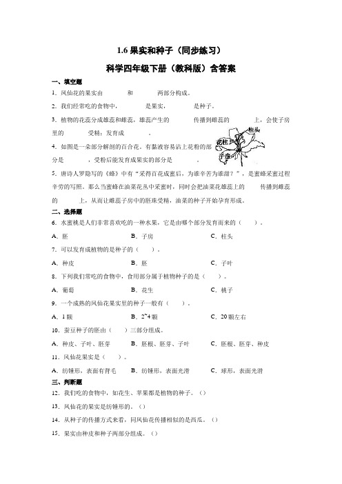 教科版小学四年级下册科学1-6果实和种子同步练习试题