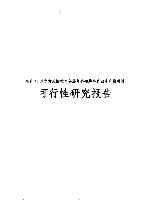 年产40万立方米陶粒自保温复合砌块全自动生产线项目可行性实施报告