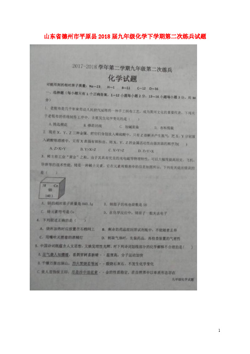 山东省德州市平原县九年级化学下学期第二次练兵试题(扫描版)